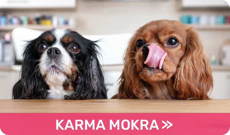 Karma mokra