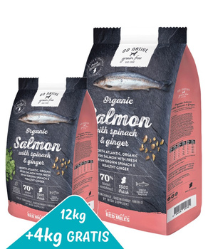 12kg+4kg GRATIS! Go Native SALMON WITH SPICHNA & GINGER - Karma sucha dla psów ŁOSOŚ ZE SZPINAKIEM I IMBIREM